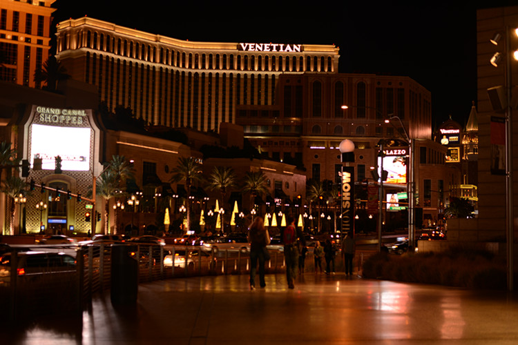 Thanksgiving at Las Vegas 2013 070_.jpg