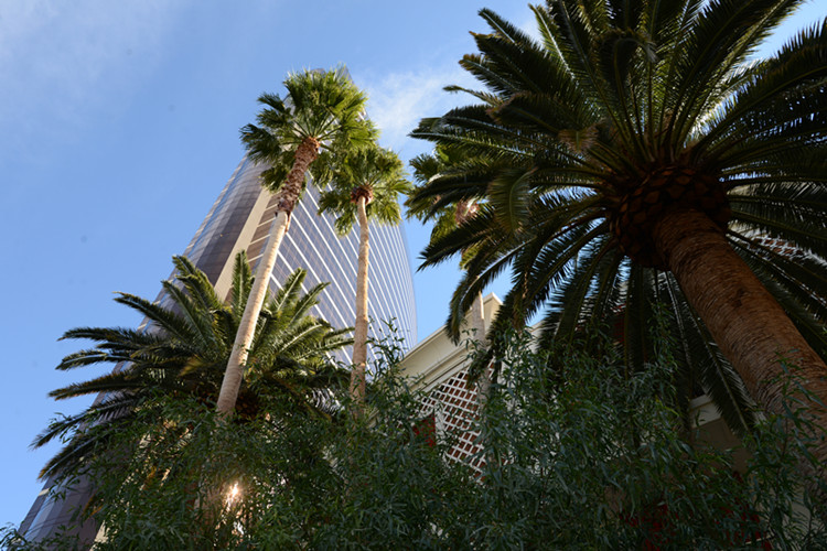 Thanksgiving at Las Vegas 2013 298_.jpg