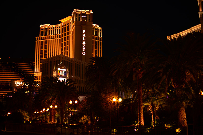Thanksgiving at Las Vegas 2013 029_.jpg
