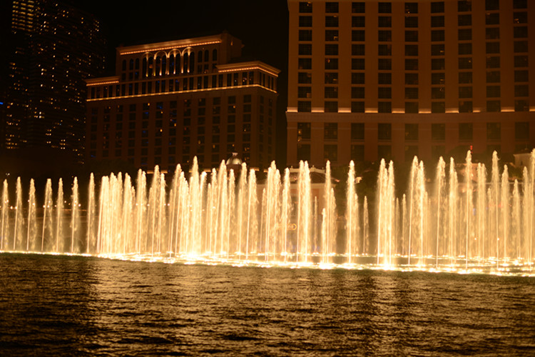 Thanksgiving at Las Vegas 2013 622_.jpg