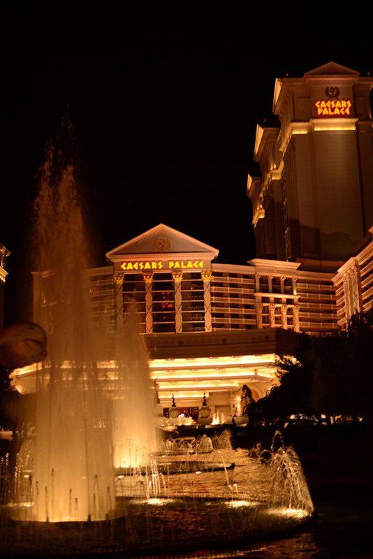 Thanksgiving at Las Vegas 2013 196_.jpg