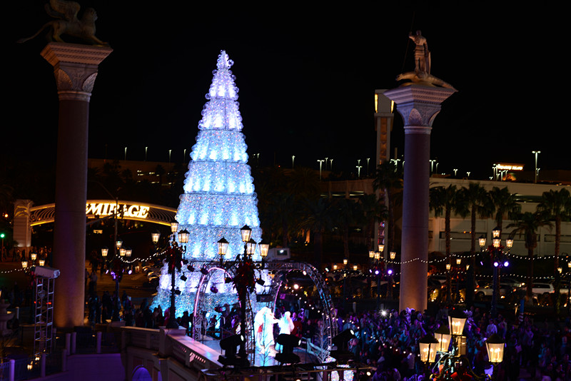 Thanksgiving at Las Vegas 2013 391_.jpg