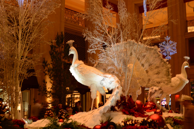 Thanksgiving at Las Vegas 2013 432_.jpg