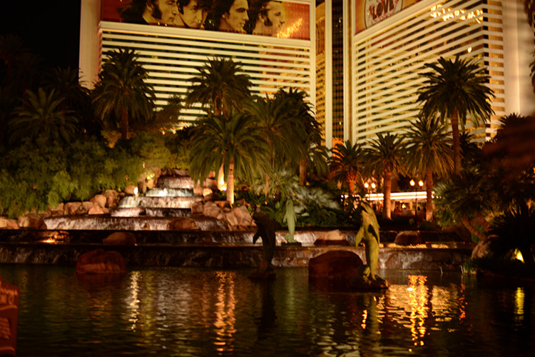 Thanksgiving at Las Vegas 2013 086_.jpg