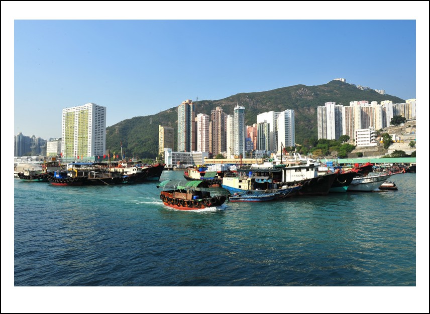 DSC_6439_conew1.jpg