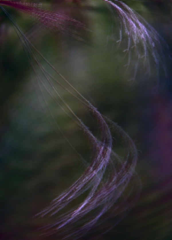 18_741_281e328c0ee40aa.jpg