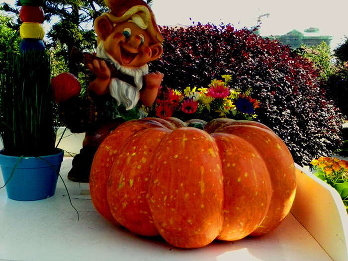 IMG_20131129_142936873.jpg