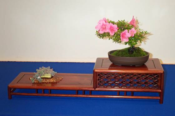 ATT00024.jpg