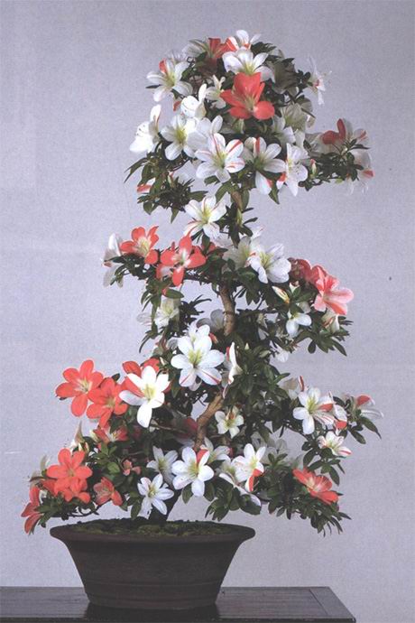 ATT00029.jpg