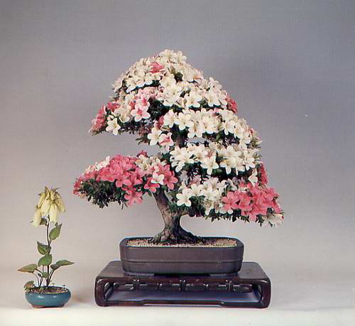 ATT00007.jpg