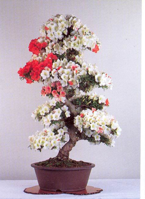 ATT00023.jpg