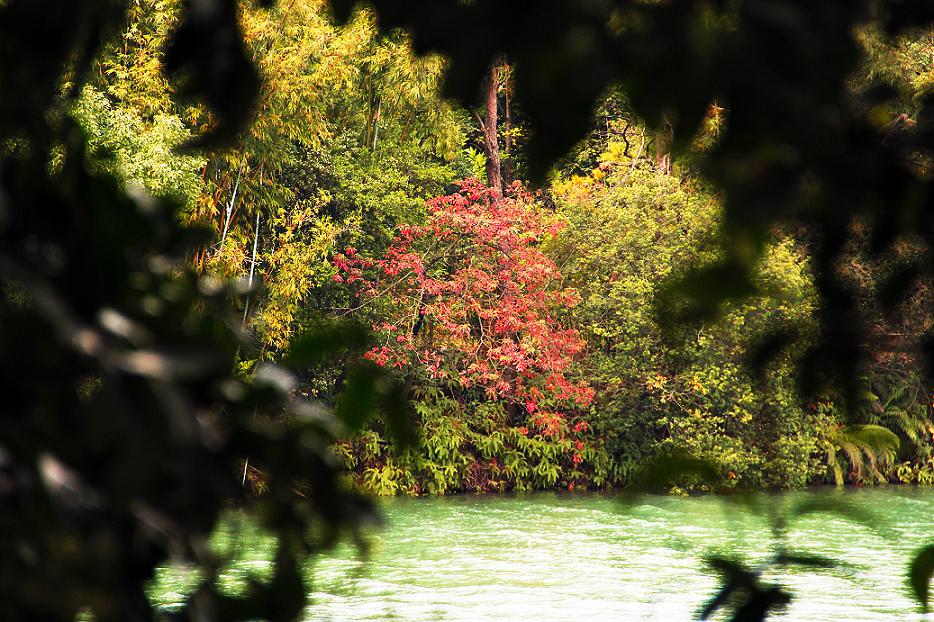 _MG_36642013-10-20.JPG