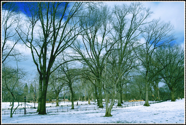 DSCN4409_����.jpg