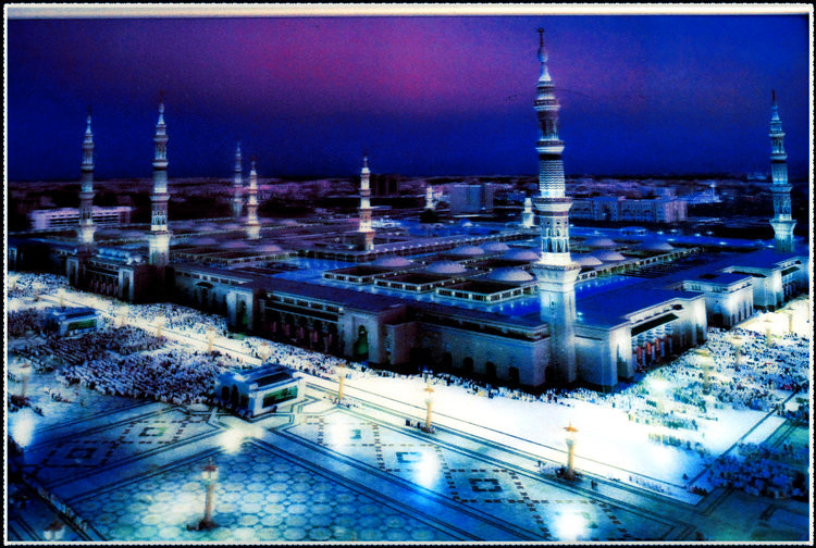 DSCN6508.jpg