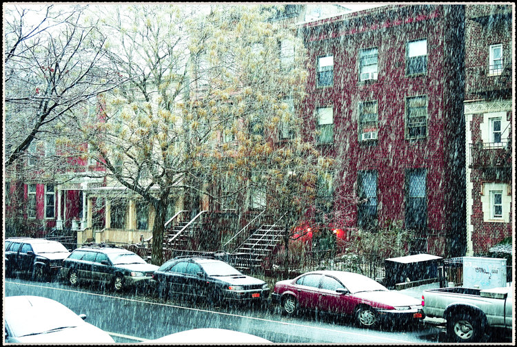 DSCN8755.jpg