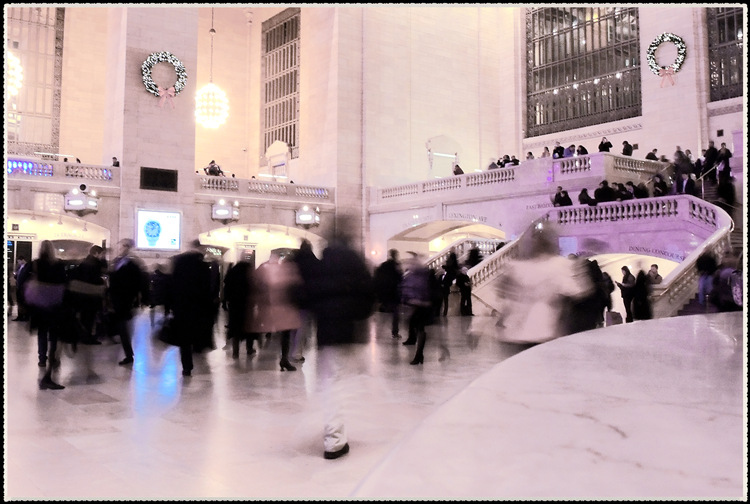 DSCN8600.jpg