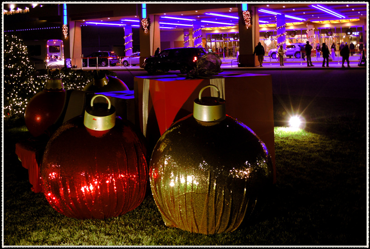 DSCN2364.jpg