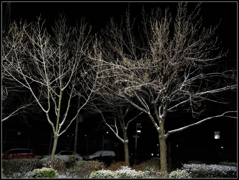 DSCN1768.jpg