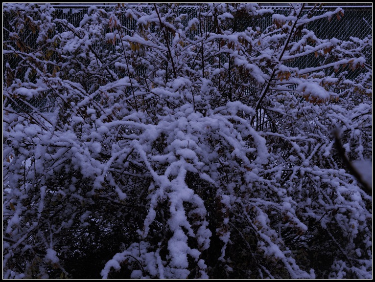 DSCN1814.jpg