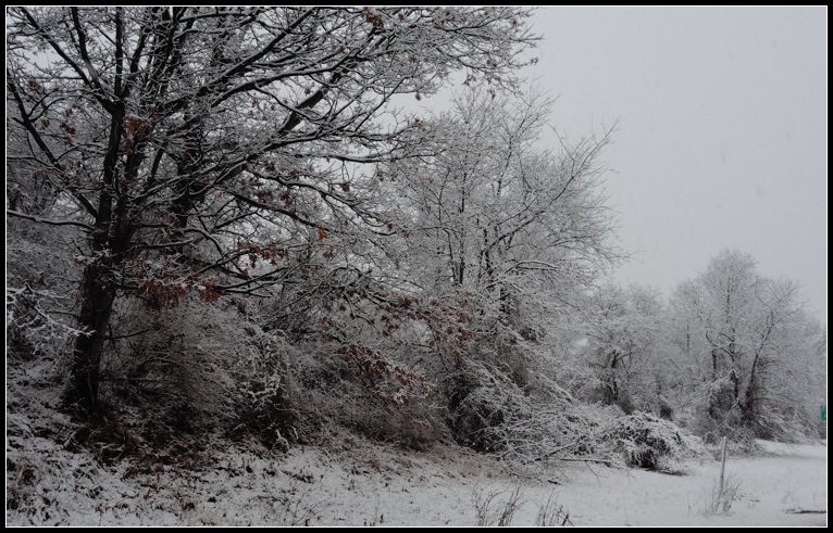 DSCN1835.jpg