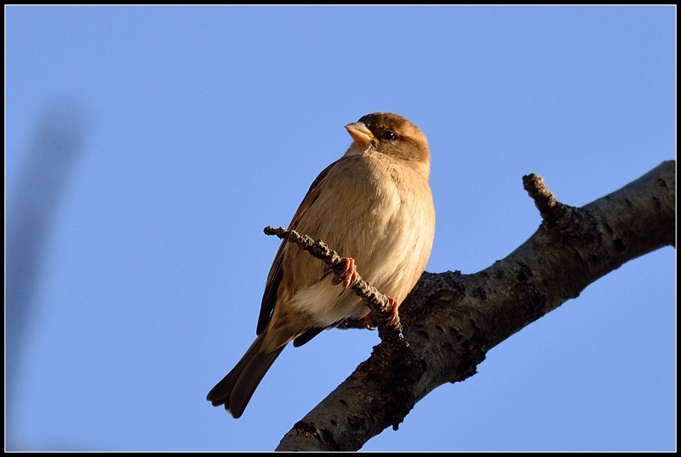 DSC_3380.jpg