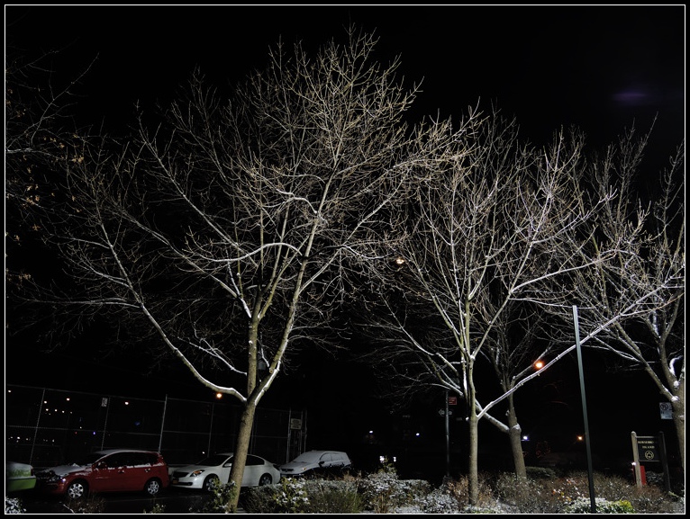 DSCN1769.jpg