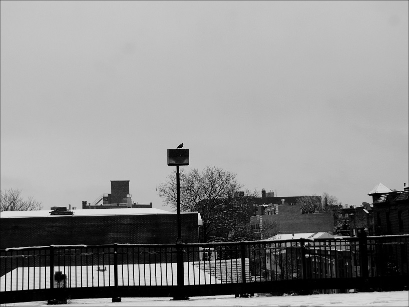 l1150933_conew1.jpg