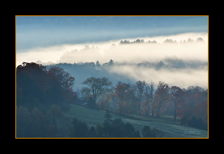 DSC_0379C1.jpg
