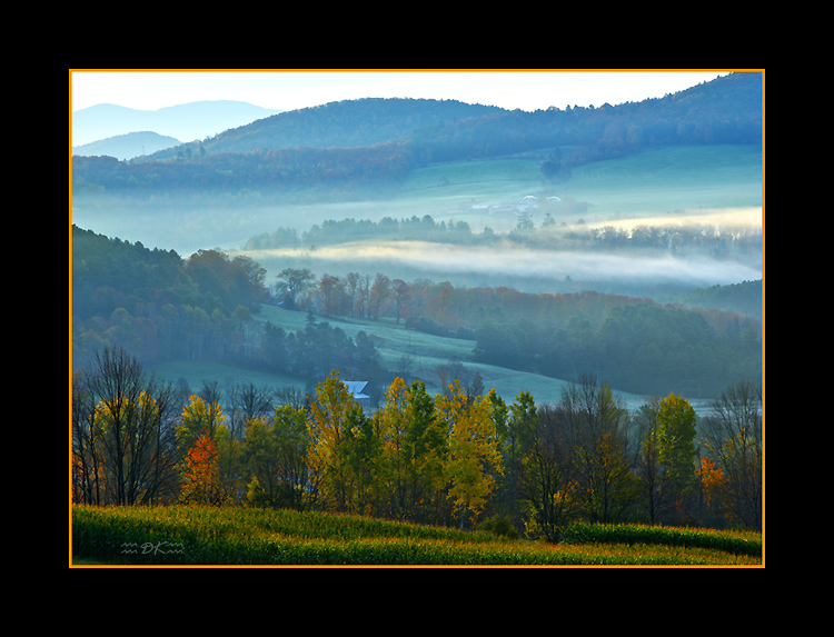 DSC_0347C.jpg