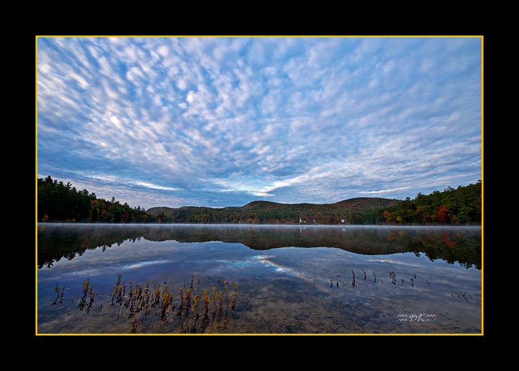 DSC_0799C1.jpg