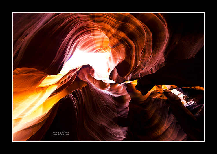 DSC_2981C.jpg