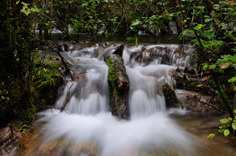 DSC_1426.jpg