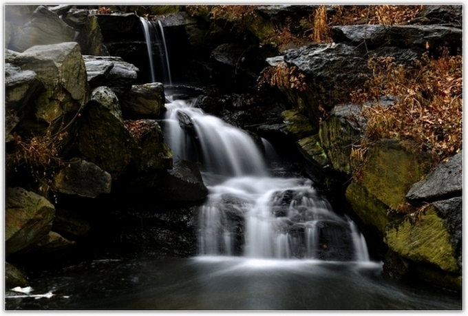 _DSC8980_1.JPG