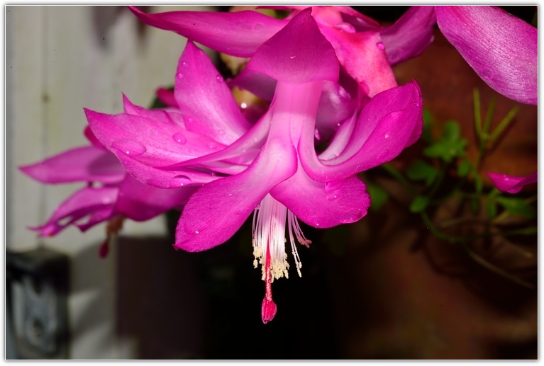 DSC_8096.JPG