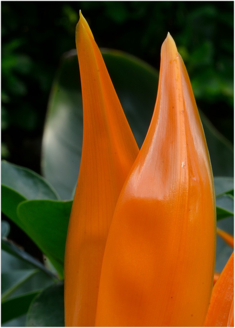 DSC_7767_1.JPG