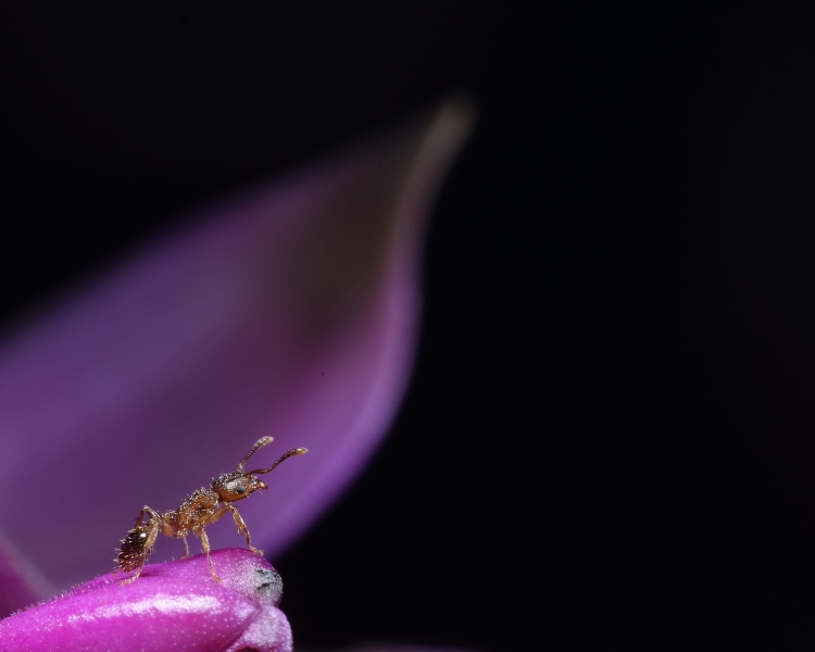 _DSC8354_01.JPG