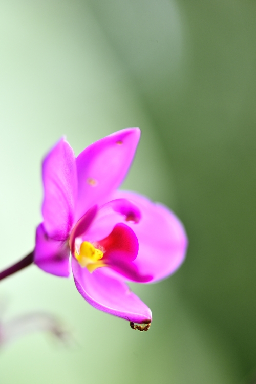 _DSC8528_02.JPG