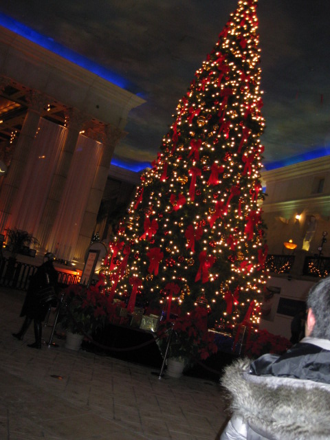 IMG_1215.JPG