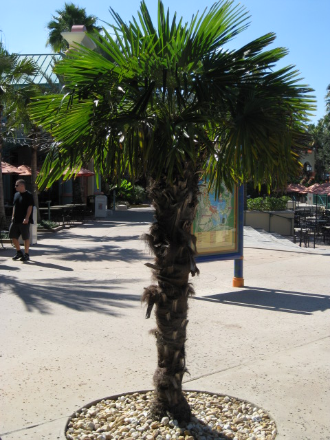 IMG_1137.JPG