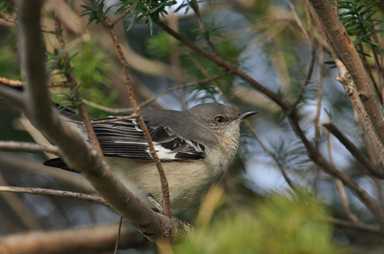 DSC_0544_����.jpg