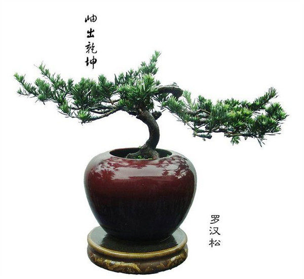 0 (20).jpg