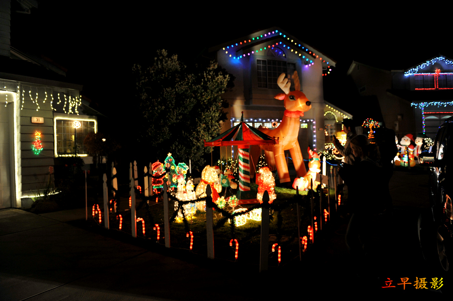 DSC_1983.jpg