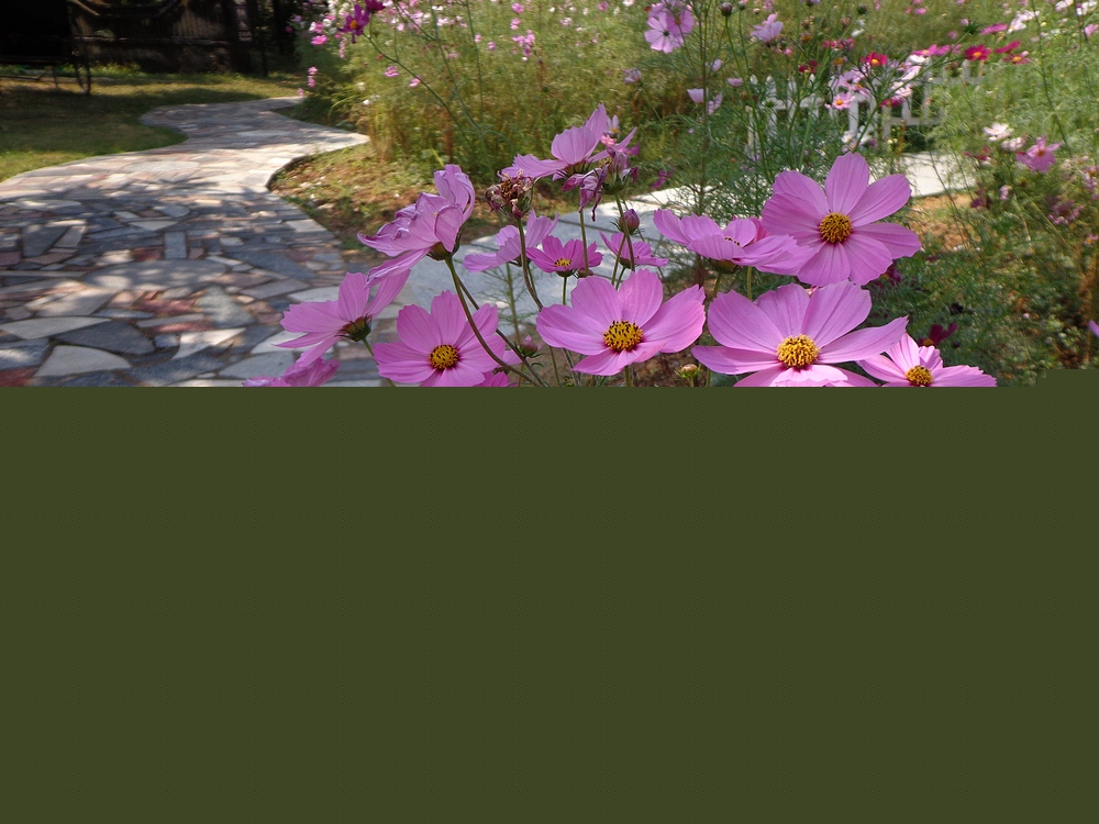 DSC03431.JPG