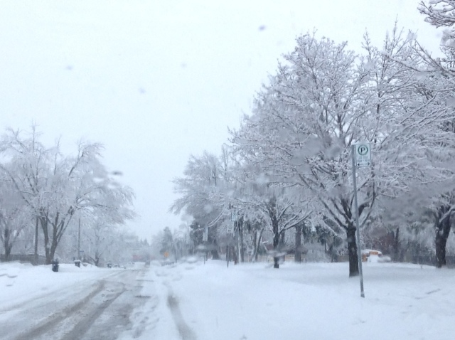 Toronto Ice Storm 2013-48.JPG