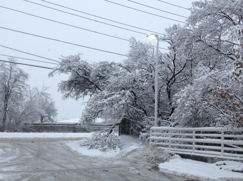Toronto Ice Storm 2013-44.JPG