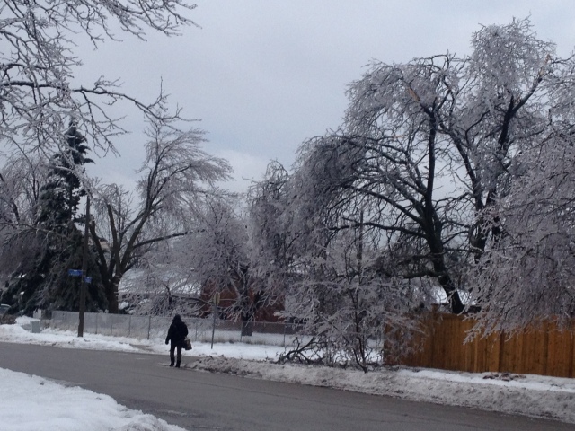 Toronto Ice Storm 2013-40.JPG