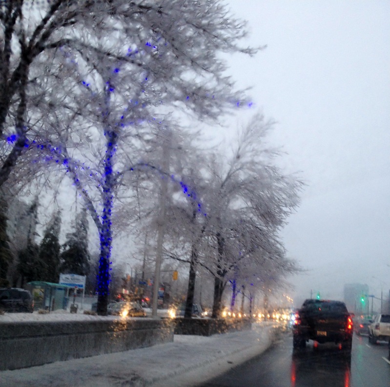 Toronto Ice Storm 2013-31.JPG