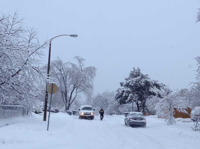 Toronto Ice Storm 2013-47.JPG