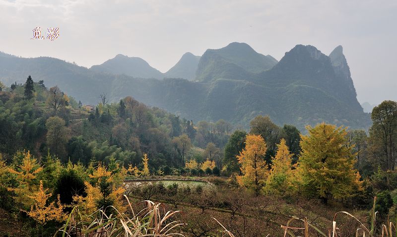 DSC_91745.jpg