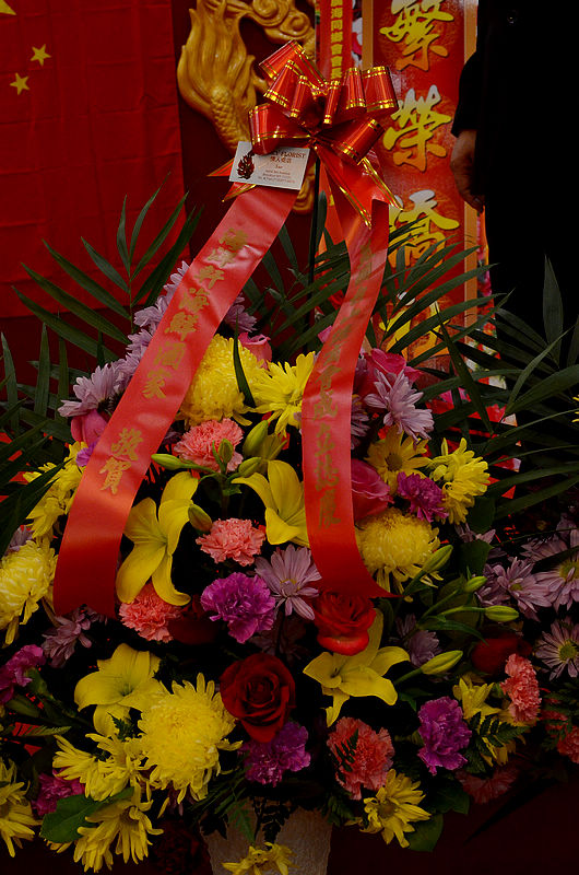 DSC_3627.jpg